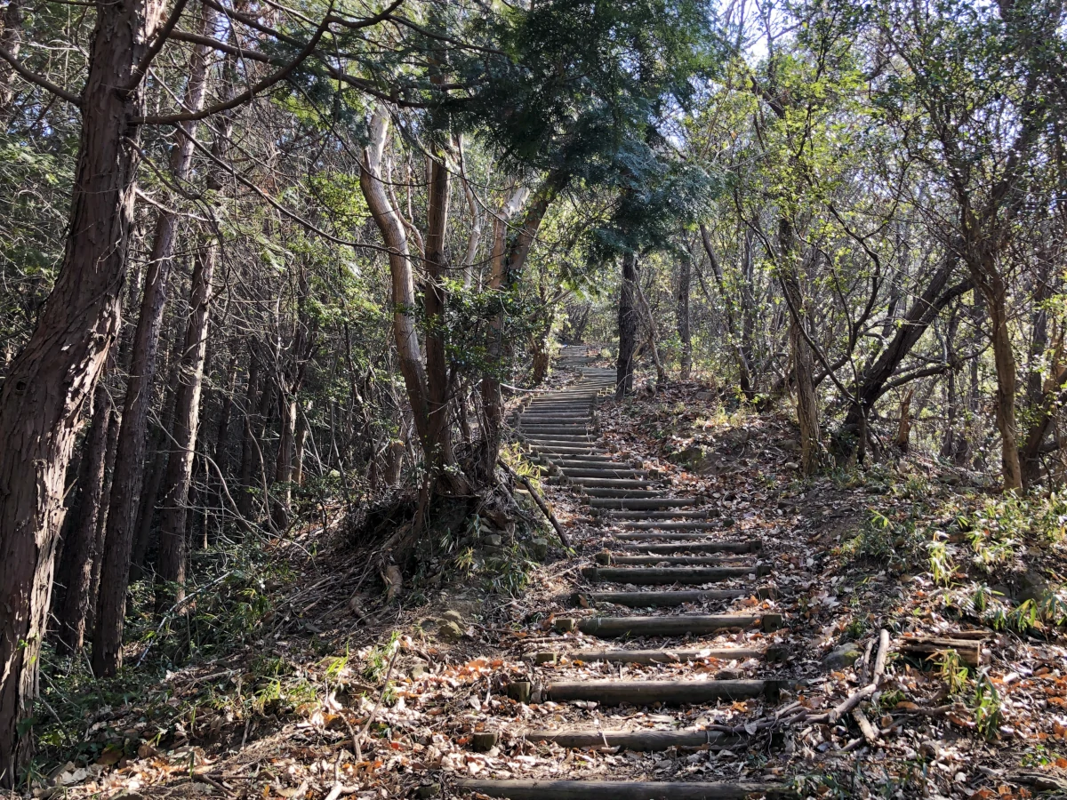 男木島の登山道