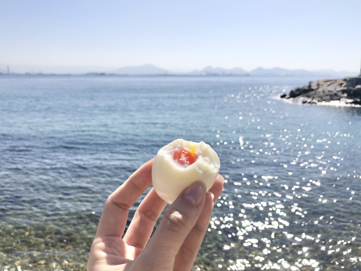 塩飽諸島牛島：海岸