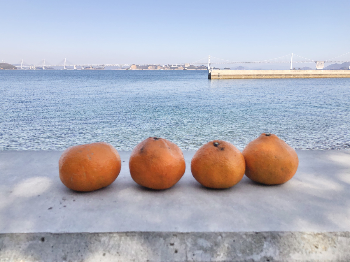 塩飽諸島牛島