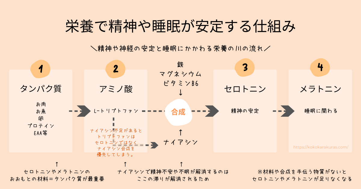 栄養で睡眠が安定する仕組み